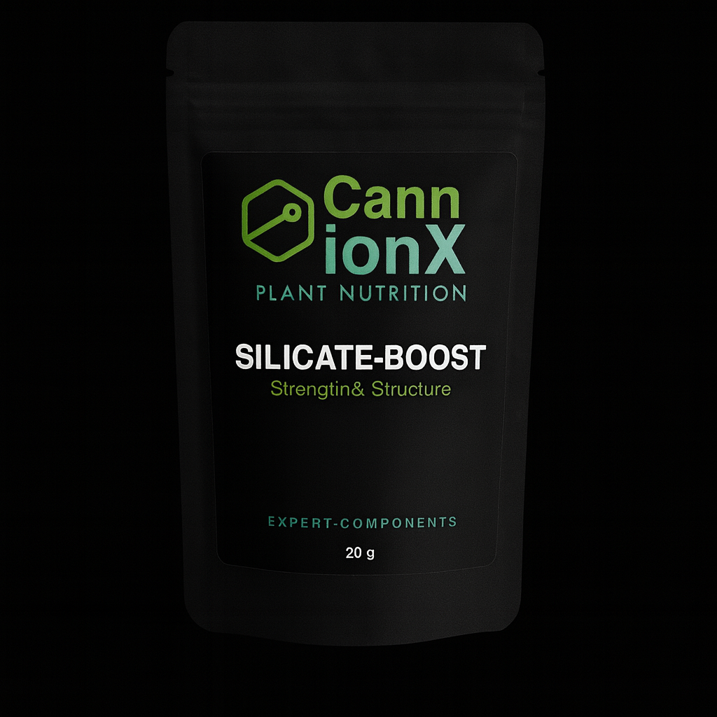 SILICATE-BOOST - Zellschutz und Strukturstärke von innen heraus