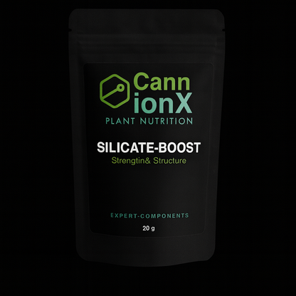 SILICATE-BOOST - Zellschutz und Strukturstärke von innen heraus