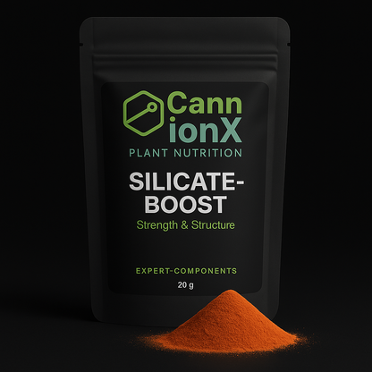 SILICATE-BOOST - Zellschutz und Strukturstärke von innen heraus