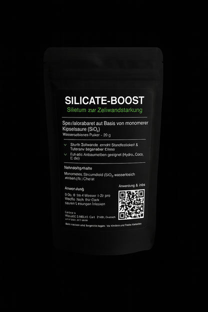 SILICATE-BOOST - Zellschutz und Strukturstärke von innen heraus